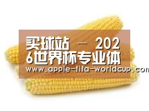 产品名称五