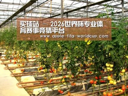 种植基地二