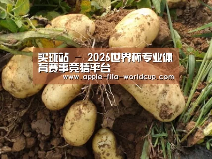 种植基地六